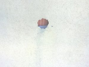 Spechtlöcher reparieren mit dem Fassaden-Doktor aus Niederösterreich